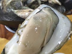 -蚝专家(北滘店)