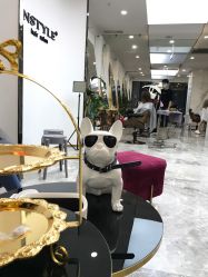 -DIAN DIAN SALON点点