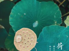 -嘉北郊野公园