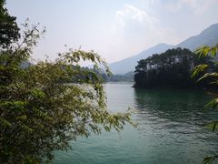 -广州市流溪河国家森林公园