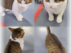 -蓝天射箭馆·专业射箭运动(诚丰广场店)