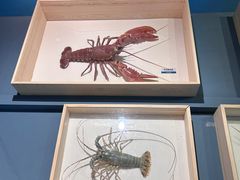-浙江自然博物院(杭州馆)