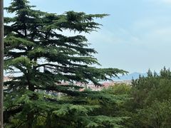 -青岛德国监狱旧址博物馆