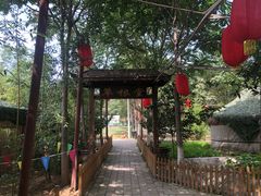 -草根堂农场