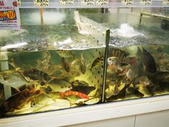 -新苗超市(花城店)