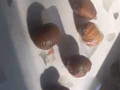 -王老头炒货(天坛东路店)
