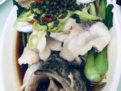 清蒸鲈鱼-胖子菜馆(隆昌路店)