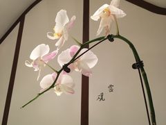 包房-京兆尹(雍和宫店)