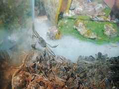 -鑫海汇海鲜烤肉自助(北国商城店)
