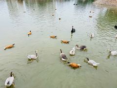 -青藏高原野生动物园