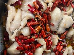 -金三可市井水煮鱼(金碧园店)