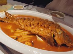 -阿五黄河大鲤鱼(英协路店)