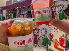 -炖物24章·顺时轻养茶(杭州大厦店)