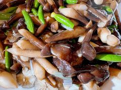 乳瓜鸡枞菌-马凯餐厅(长椿街店)