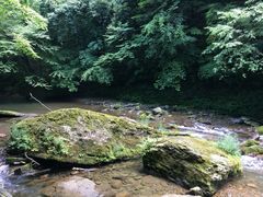-黎坪国家森林公园