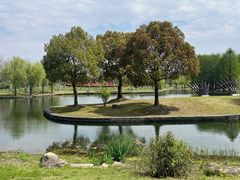 -同济大学(嘉定校区)