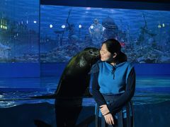 -欢乐海岸海洋奇梦馆