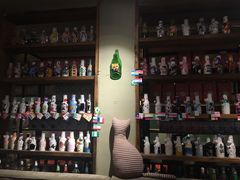 -猫咪博物馆(顶澳仔猫街店)