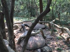 -赭山公园
