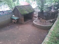 -甘棠公园