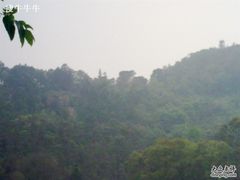 -南国桃园旅游度假区