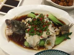 -大铁勺新津菜(东丽阳光新业广场店)