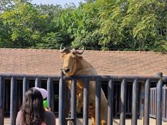 -石家庄市动物园