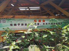 -映月潭温泉