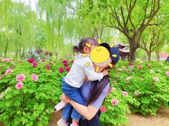 -石家庄市植物园