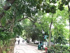 -九龙公园