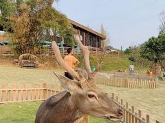 -黄龙溪欢乐田园