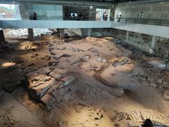 -自贡恐龙博物馆