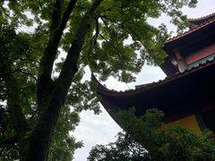 -灵隐飞来峰景区