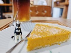 -猫里有甜