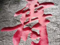 -陕西省红河谷森林公园