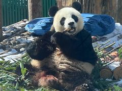 -大连森林动物园