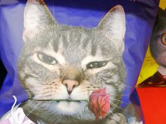 -华润万家(朱雀大街店)