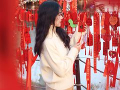 -茯茶镇