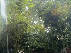 -一江水食府(后湖店)