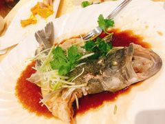 清蒸青斑-华星餐厅