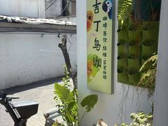 -吉丁鸟咖·异宠·寄养