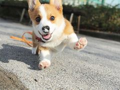 -三盛楼饭店(四流中路店)