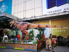 -北京华联购物中心(天通苑店)