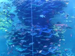 -泉城欧乐堡海洋极地世界