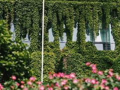 -江宁织造博物馆