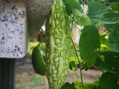 -雅鲁激流探险漂流