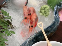 -黑松白鹿(金融街店)