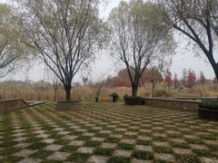 -昆山城市生态森林公园