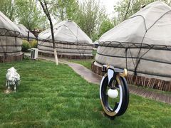 -九十九顶毡房(阜石路店)