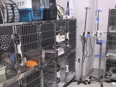 -瑞派福兴宠物医院犬猫全科·骨科·中西医结合(河东店)